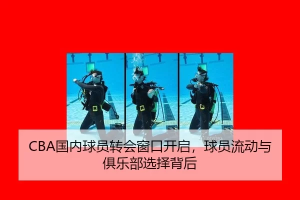 CBA国内球员转会窗口开启，球员流动与俱乐部选择背后